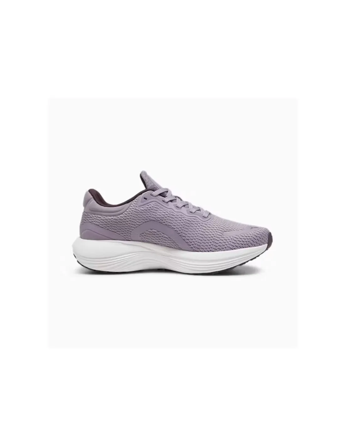 Chaussures RunningPUMA de Puma Scend Pro Pale Plum- Black