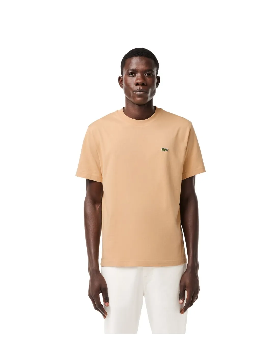 T shirt homme Lacoste Ref 62387 IXQ Beige