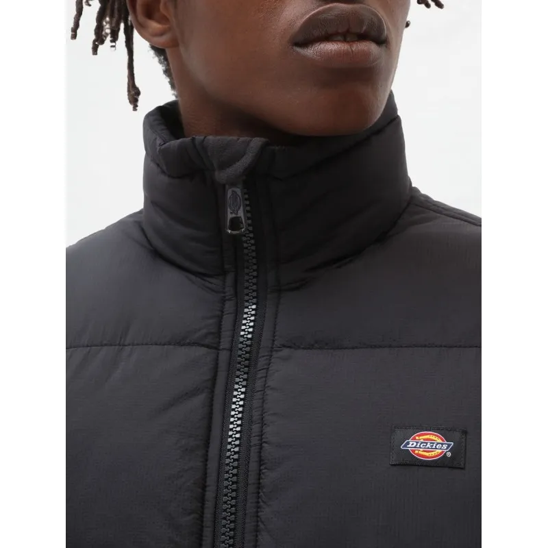 Veste Dickies Waldenburg - Noir Black